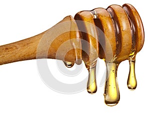 Honey wooden dipper (stick) with large drops of honey on a white background.