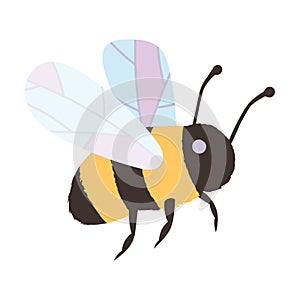 Honeybee with Striped Body and Wings as Eusocial Flying Insect for Honey Production Vector Illustration