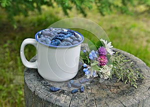 Honeyberry in white cup with wildflowers horizontal