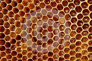 Honeycomb