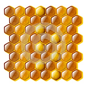 Honeycomb