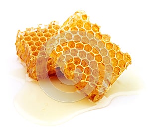 Plástev medu 