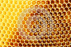 Honeycomb