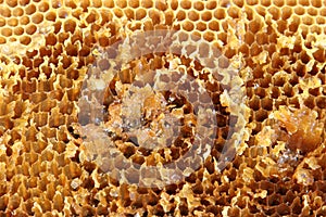 Honeycomb