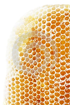 Honeycomb