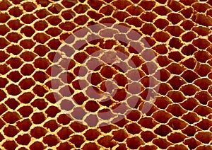 Honeycomb