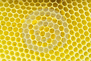 Honeycomb