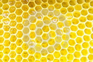 Honeycomb