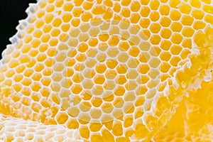 Honeycomb