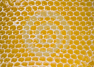 Honeycomb