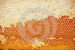 Honeycomb