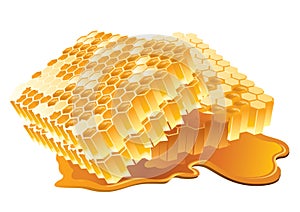 Honeycomb