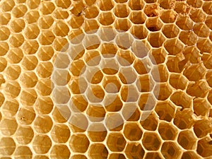 Honeycomb