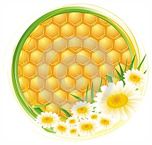 Honeycomb background