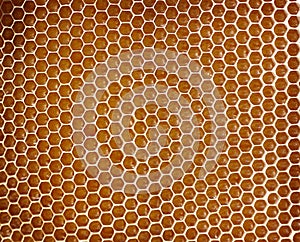 Honeycomb background