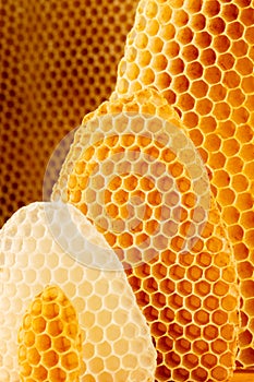 Honeycomb background