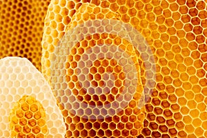 Honeycomb background