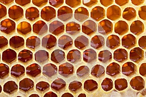 Honeycomb background