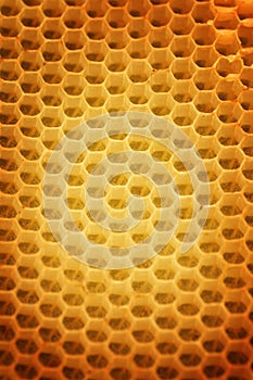 Honeycomb Background