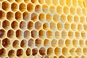 Honeycomb background