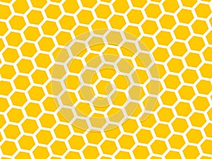 Honeycomb background texture from bee hive