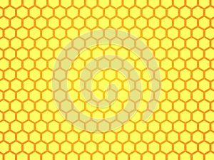Honeycomb background texture from bee hive