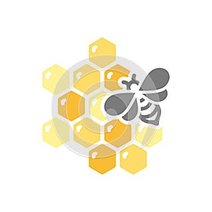 Honeycomb and bee colorful vector icon