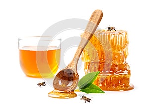 Honeycomb with bee and honey spoon isolate on white banner background