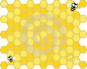 Honeycomb bees