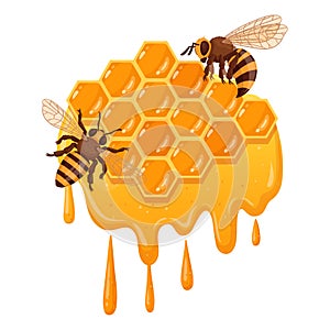 Honeycomb with bees. Cartoon sweet honeycomb with melting honey bees, honeycraft and beekeeping flat vector illustration.