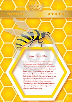 Honeycomb and bees. Vector background