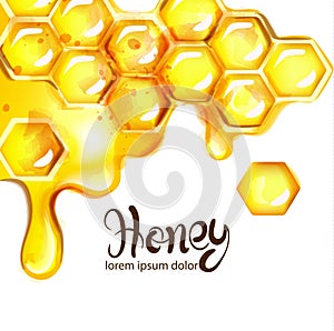 Honeycomb and bees Vector watercolor template. white backgrounds