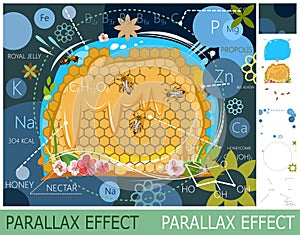 Honeycomb. benefits and composition of bee honey. set of slides create parallax image layer. Cartoon style. Isolated on