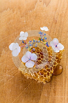 Honeycomb with blue flowers