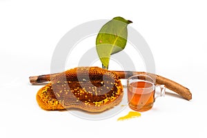 Honeycomb on a branch and honey in a glass on a white background photo