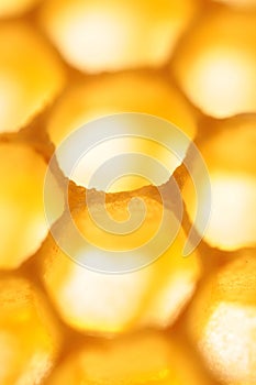 Honeycomb bright sunny yellow abstract vertical background