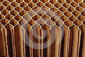 Honeycomb cells of cardboard stiffening rib background