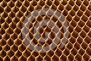 Honeycomb cells of cardboard stiffening rib background