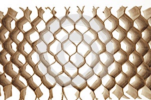 Honeycomb cells of cardboard stiffening rib background