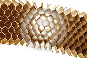 Honeycomb cells of cardboard stiffening rib background