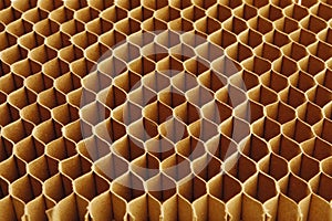 Honeycomb cells of cardboard stiffening rib background