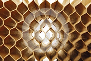 honeycomb cells of cardboard stiffening rib background