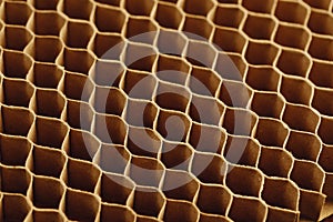 Honeycomb cells of cardboard stiffening rib background