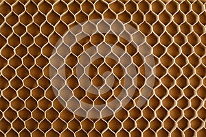 Honeycomb cells of cardboard stiffening rib background