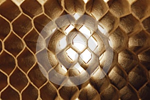 Honeycomb cells of cardboard stiffening rib background