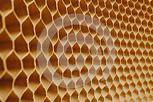 Honeycomb cells of cardboard stiffening rib background