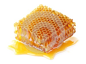 Honeycomb in closeup