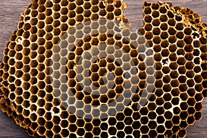 Honeycomb closeup detail background
