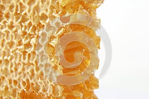 Honeycomb closeup on white background