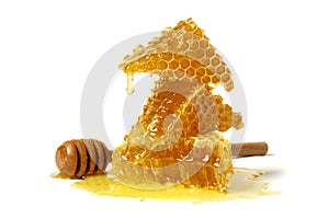 Honeycomb and curative propolis isolated on white background. Wild bee honey